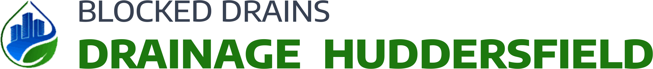website logo
